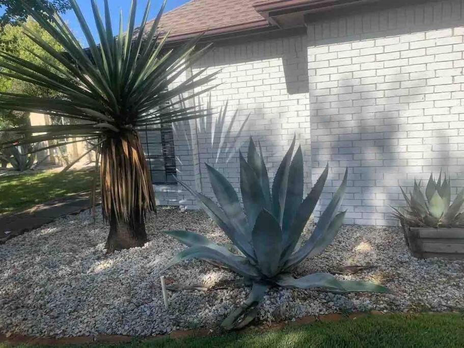 Beautiful Farmhouse W/ Pool On 6 Acres Ranch Aubrey Exterior photo