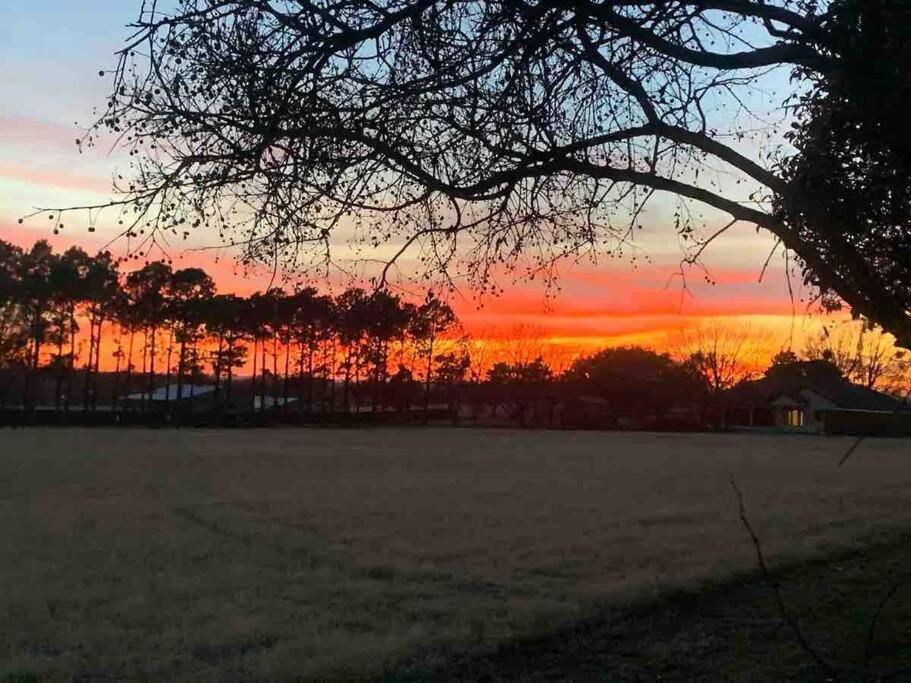 Beautiful Farmhouse W/ Pool On 6 Acres Ranch Aubrey Exterior photo